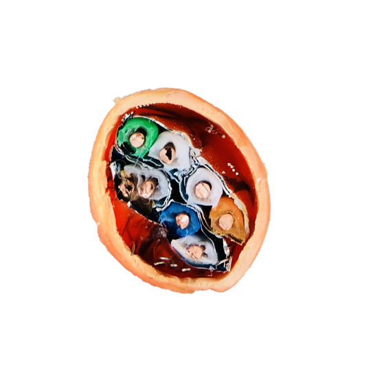 Kabel sieciowy DIGITUS Kat.7 S/FTP AWG23 – 10GbE, 1200 MHz, drut, ekranowany, LSZH, pomarańczowy